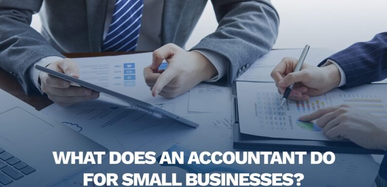 How Accountants Assist Small Businesses With Budgeting
