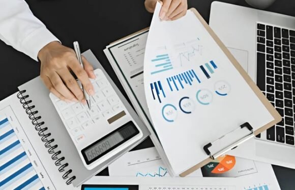 5 Key Services Bookkeepers Provide For Growing Businesses