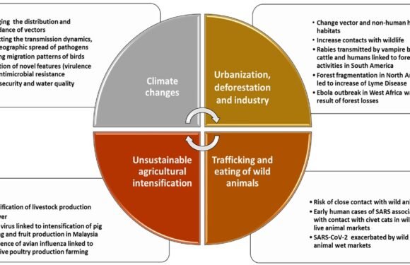 The Role Of Vaccines In Preventing Zoonotic Diseases