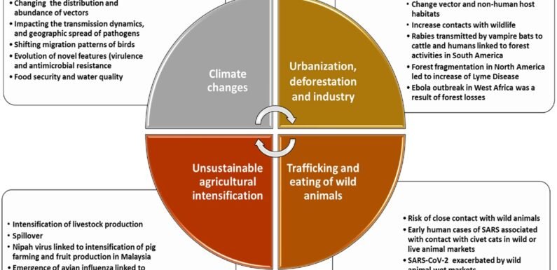 The Role Of Vaccines In Preventing Zoonotic Diseases
