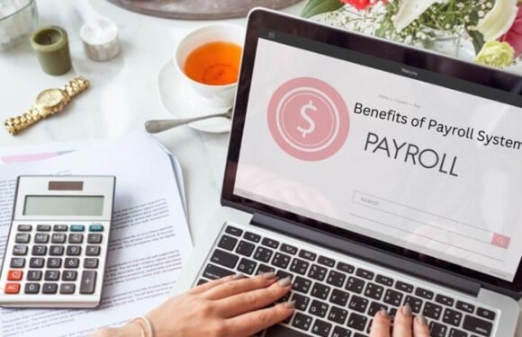 3 Benefits Of Using A Tax Firm For Small Business Payroll
