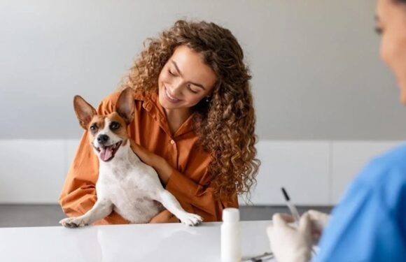 3 Signs Your Pet Needs To Visit An Animal Hospital