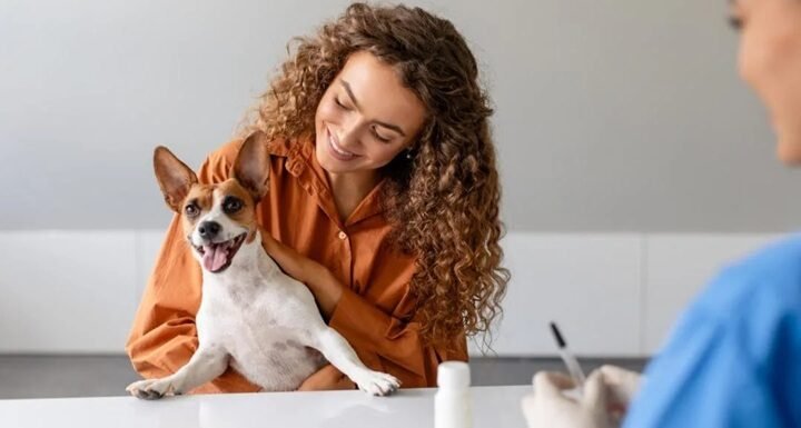 3 Signs Your Pet Needs To Visit An Animal Hospital