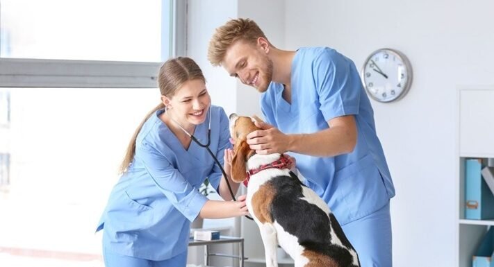 3 Key Advantages Of Using A Full Service Veterinary Clinic