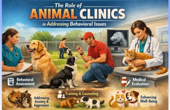 The Role Of Animal Clinics In Addressing Behavioral Issues