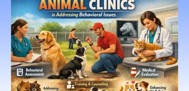 The Role Of Animal Clinics In Addressing Behavioral Issues