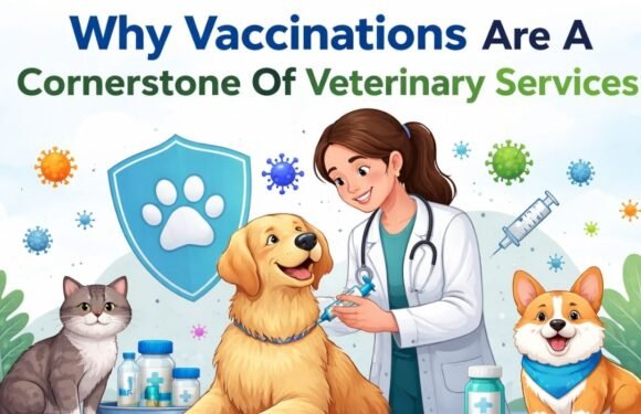 Why Vaccinations Are A Cornerstone Of Veterinary Services